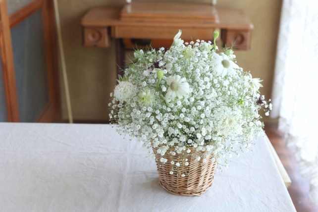 かすみ草と白の花 | le petit bonheur