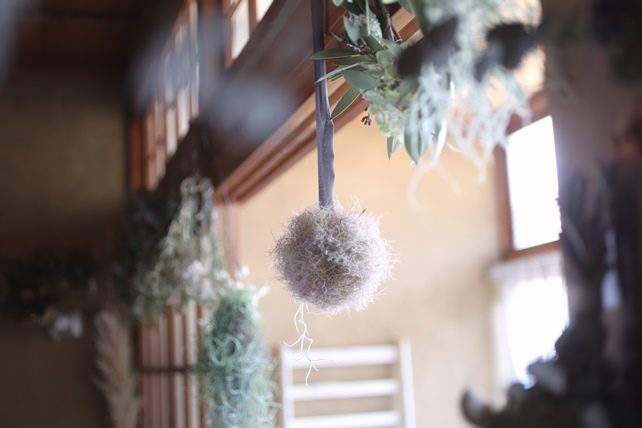 081b0fcb256f56230b2a65fd7b1dc5